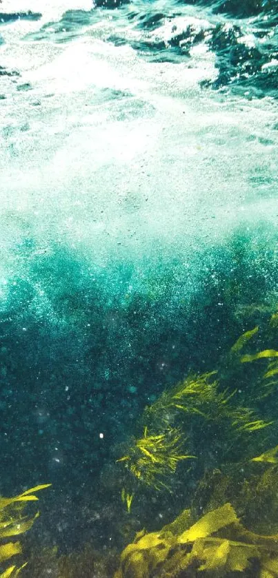 Underwater seascape with seaweed and ocean waves, vibrant teal hues.