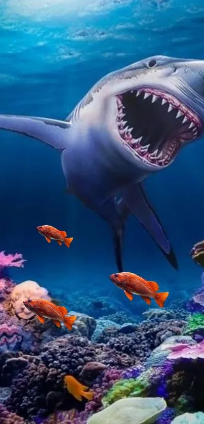Shark swims over colorful coral, vibrant fish in clear ocean.