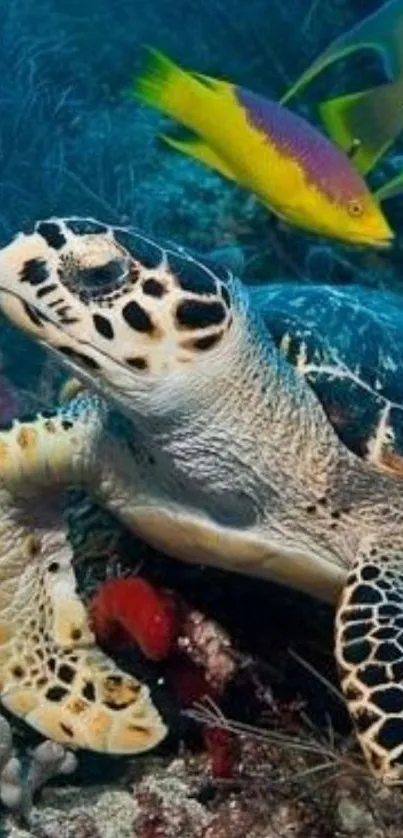 Sea turtle swimming in a colorful underwater reef.