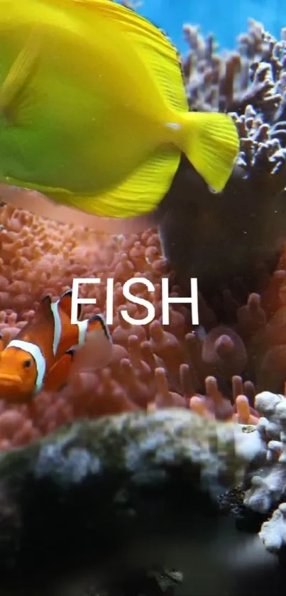 Yellow and orange fish swimming in a coral reef.