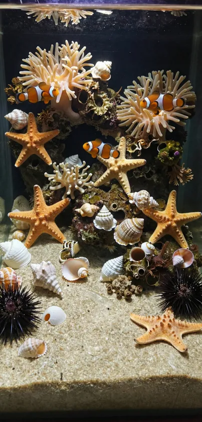 Underwater scene with clownfish and starfish set against coral backdrop.