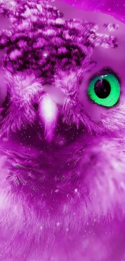 Vibrant violet owl with green eyes in a cosmic-themed wallpaper.