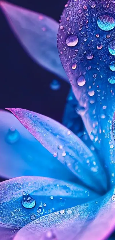 Vibrant blue and purple petals with water droplets.