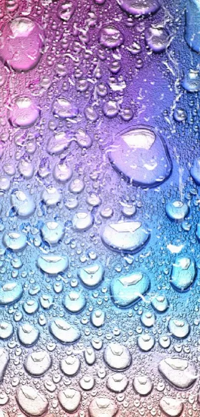 Vibrant purple and blue water droplets on gradient wallpaper.