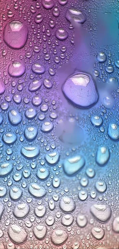 Colorful water droplets on vibrant background wallpaper.