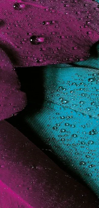 Colorful water droplets on purple and teal feathers wallpaper.