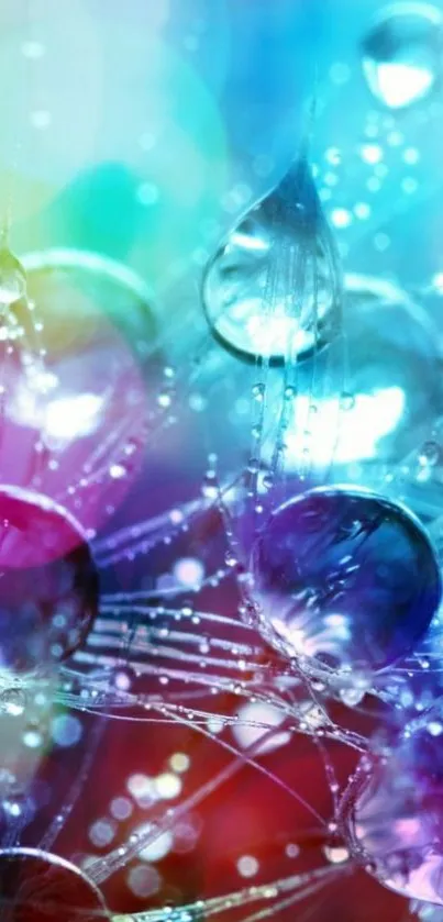 Vibrant mobile wallpaper with colorful water droplets.