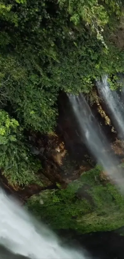 Lush green forest with cascading waterfall wallpaper.