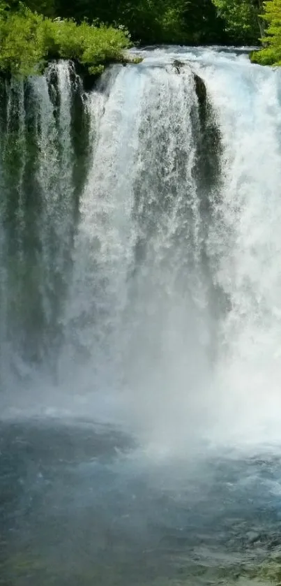 Captivating waterfall surrounded by lush greenery.