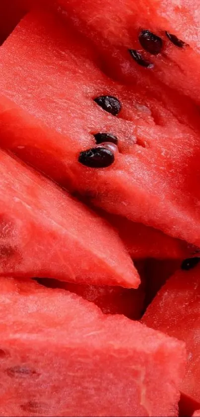 Close-up of vibrant watermelon slices with black seeds.