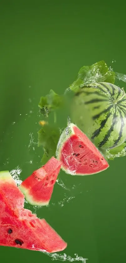 Watermelon slices against a vibrant green background.