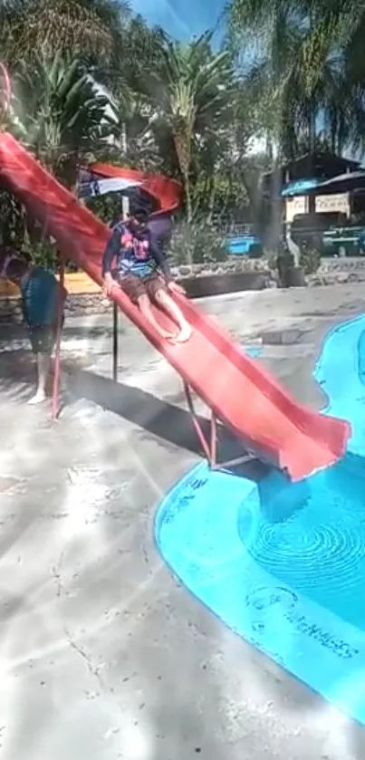 Child enjoying a red waterslide on a sunny day at the pool.