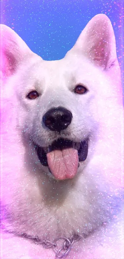 Joyful white dog with cosmic-themed background on mobile wallpaper.