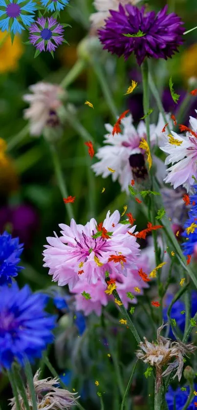Vibrant wildflowers with purple, blue, and pink blossoms in lush greenery.