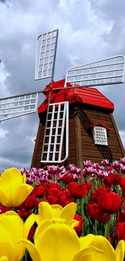 Vibrant yellow and red tulips with a windmill under a blue sky.