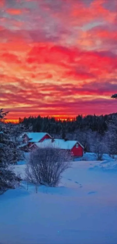 Vibrant sunset over a snowy forest landscape, ideal for wallpaper.