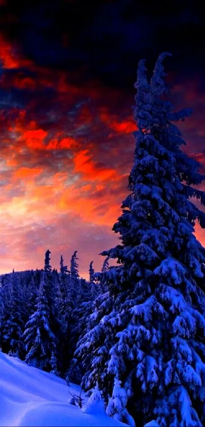 Snowy forest with vibrant sunset sky in the background.