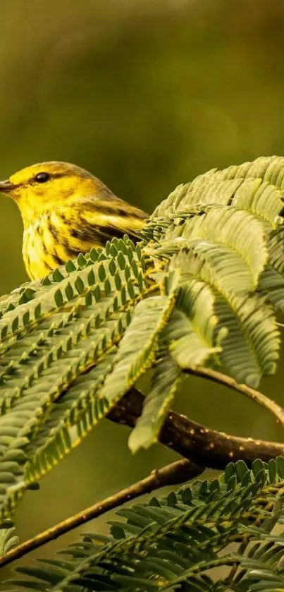 Yellow bird perched on green leaves with a blurred background.