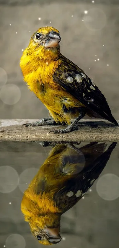 Bright yellow bird perched with a clear reflection on water.