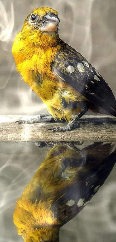 Yellow bird perched with water reflection in artistic wallpaper.