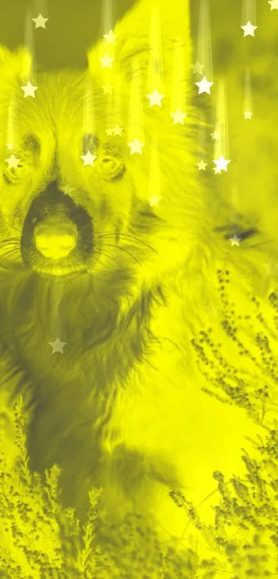 Vibrant yellow wolf with starry sky elements.