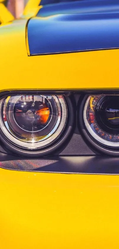 Vibrant yellow car with sleek close-up design showcasing modern aesthetics.