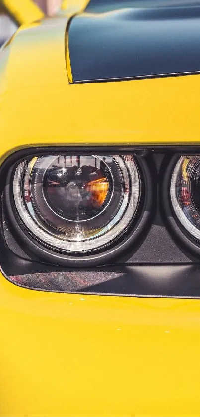 Close-up of a vibrant yellow car headlight.