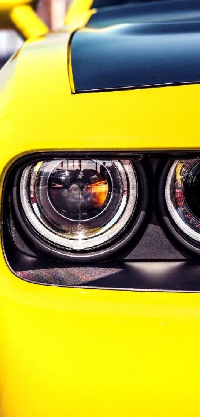 Close-up of vibrant yellow sports car headlight in sunlight.