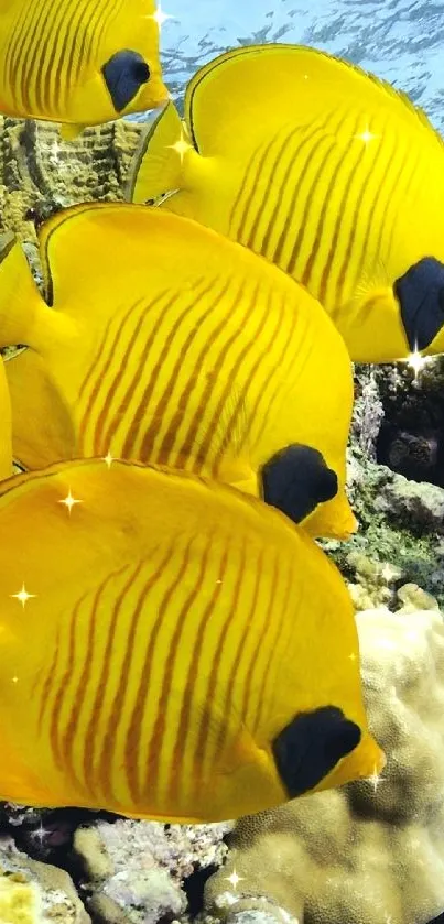 Colorful yellow fish swim above a coral reef in a vibrant underwater scene.