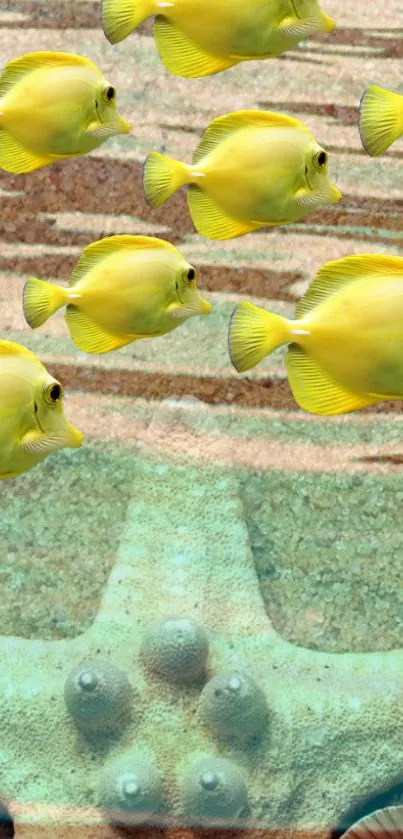 Yellow fish swim above a starfish on sandy ocean floor.