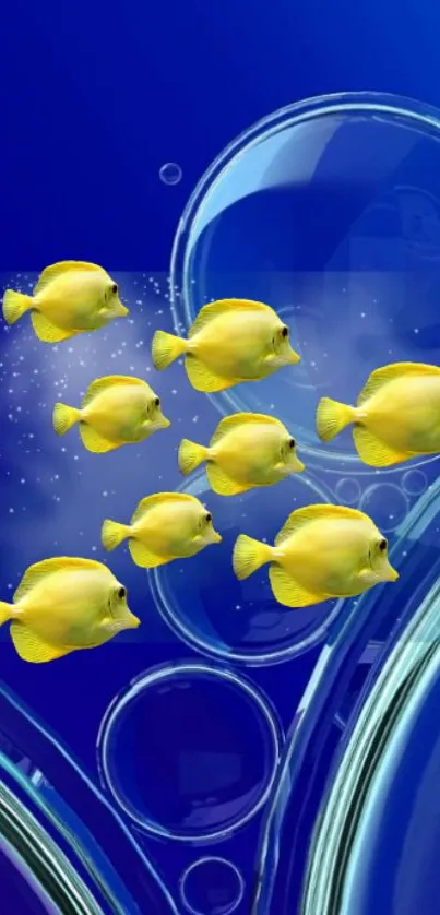 Vibrant yellow fish swim against a deep blue bubbly background.