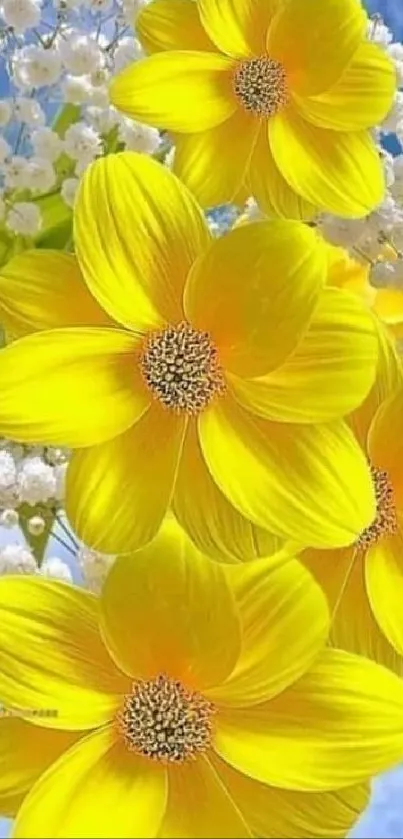 Yellow flowers against a blue sky with white blossoms.