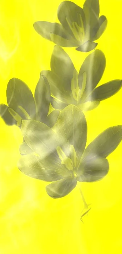 A vibrant yellow floral mobile wallpaper with soft petals.