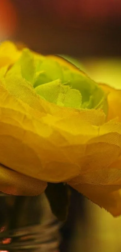 Vibrant yellow flower art with green center and soft focus background.