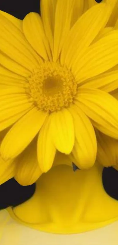 Bright yellow flower art design on wallpaper.