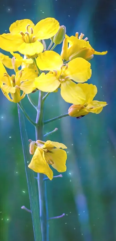 Vibrant yellow flower against green backdrop.