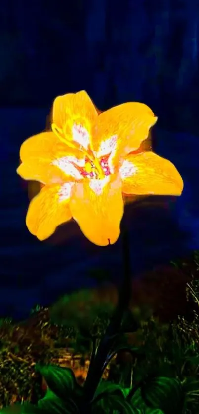 Glowing yellow flower on dark background mobile wallpaper.