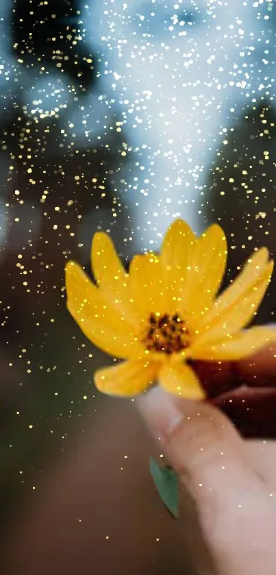 Vibrant yellow flower with sparkles and blurred background.