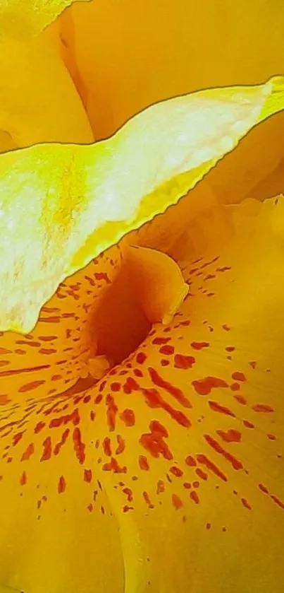 Close-up of vibrant yellow flower with detailed petals.