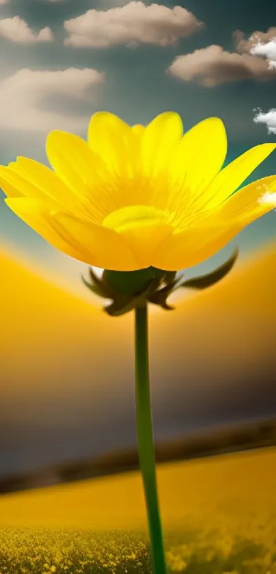 Bright yellow flower against a scenic cloudy sky.