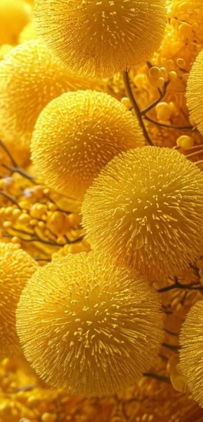 Vibrant yellow textured flowers in a stunning mobile wallpaper.
