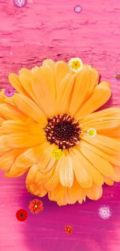 Vibrant yellow flower on pink wooden background wallpaper.