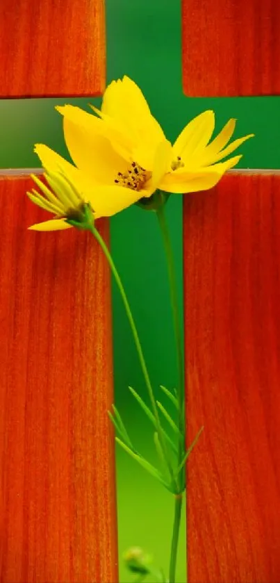 Yellow flower with wooden cross background on mobile wallpaper.