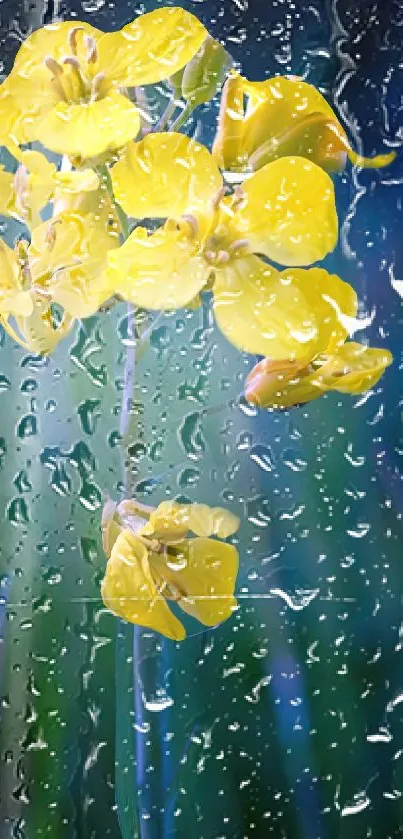 Yellow flowers in rain against a blue-green background.