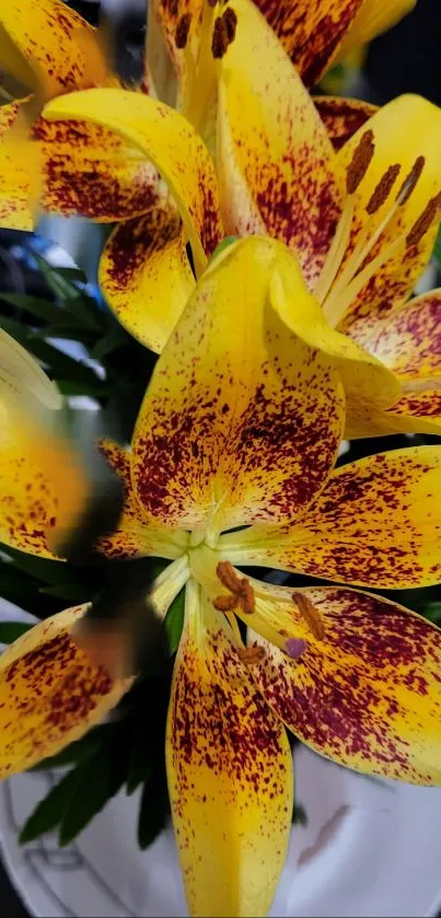 Close-up of a vibrant yellow lily with red speckles, ideal for mobile wallpaper.