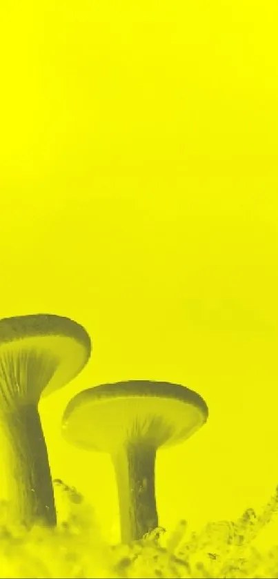 Vibrant yellow mushroom wallpaper with nature theme.