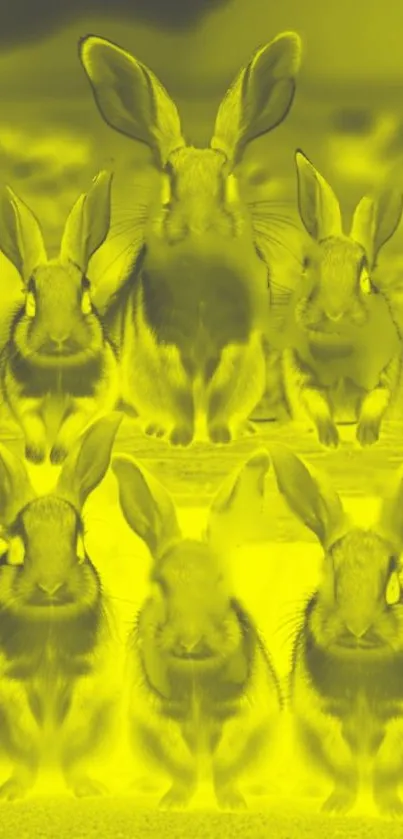 Six rabbits in a vibrant yellow hue setting.