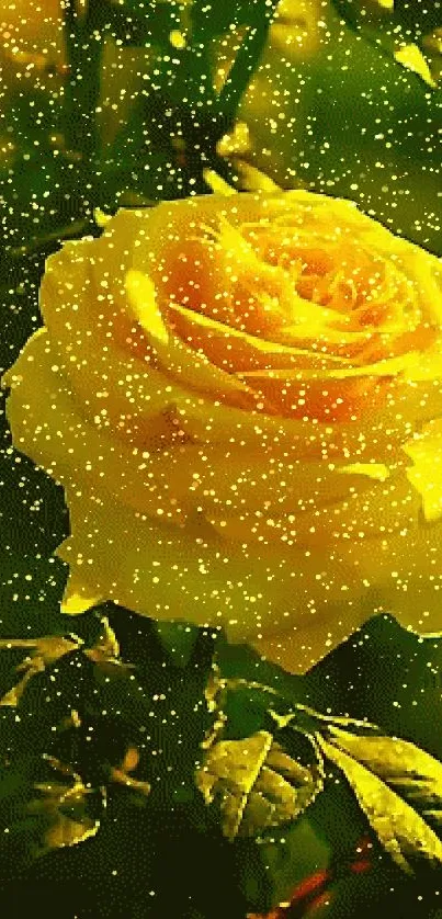 Vibrant yellow rose with green leaves in sunlight.