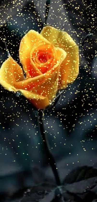 Yellow rose with dark leaves mobile wallpaper.