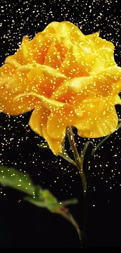 Vibrant yellow rose covered in gold glitter on a black background.